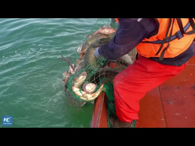 ⁣Fishing on Xinjiang's Bosten Lake