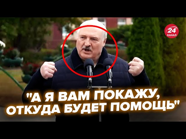 ⁣Лукашенко ЗІРВАВСЯ! Ляпнув ТАКЕ про Зеленського (ВІДЕО). Кремль ВИЗНАВ! РФ за крок від ЯМИ