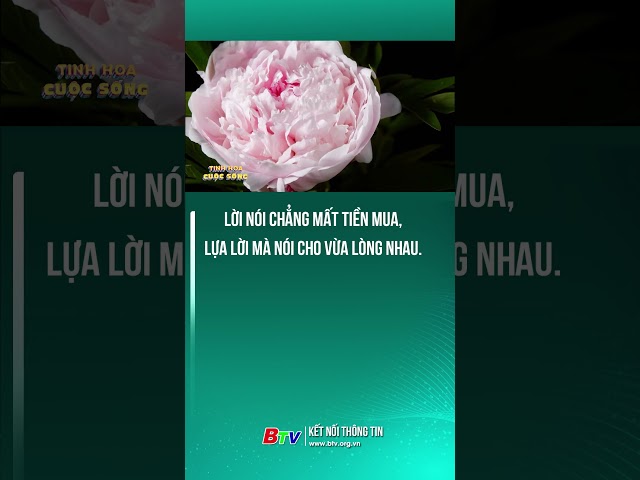 ⁣Lời nói chẳng mất tiền mua, lựa lời mà nói cho vừa lòng nhau