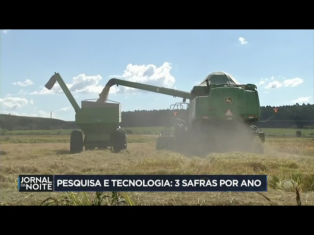 ⁣Pesquisa e tecnologia: produtores colhem três safras por ano