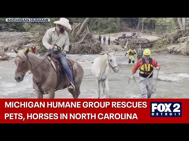 ⁣Specialized Michigan Humane crew works to rescue pets in North Carolina