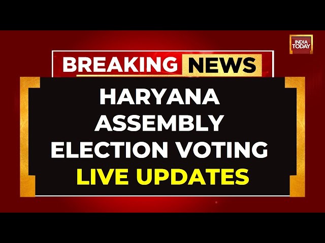 ⁣LIVE: Haryana Assembly Elections Voting LIVE | Multi-Cornered Electoral Battle In Haryana