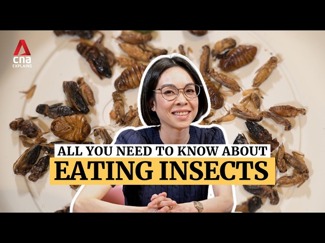 ⁣Everything you need to know about eating insects | Expert Answers | CNA Explains