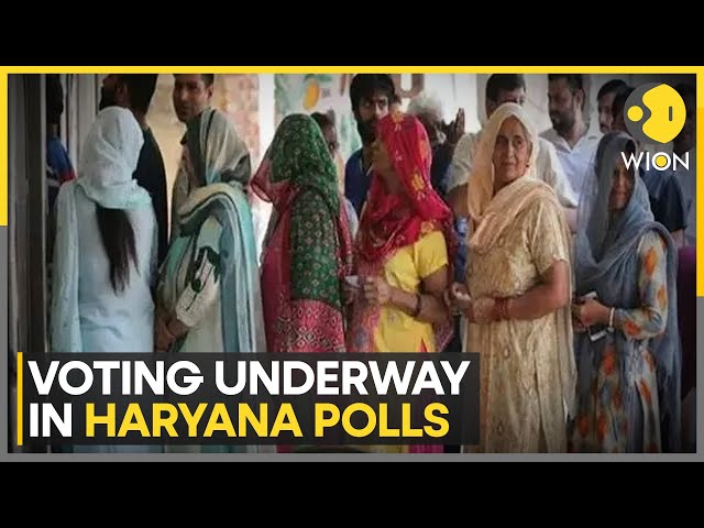 ⁣Haryana Assembly Election 2024: Polling Underway Across All 90 Seats, 1031 Candidates in the Fray