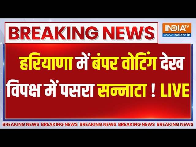 ⁣Haryana Voting LIVE: हरियाणा में बंपर वोटिंग देख विपक्ष में पसरा सन्नाटा ! BJP | Congress | AAP