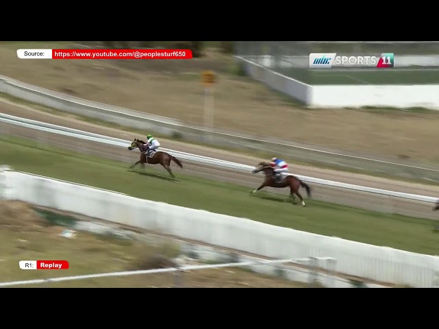 ⁣Hippisme - 23ème journée - La 1ère course en direct