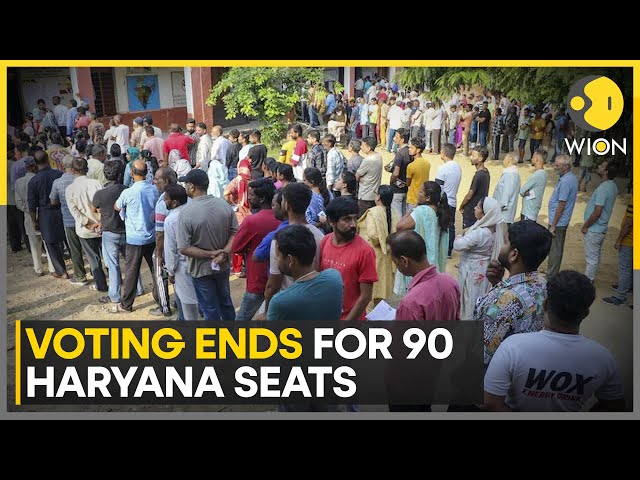 ⁣Haryana Assembly Election 2024: Voting Ends, 41.13% Voter Turnout Recorded As Of 3 PM | WION