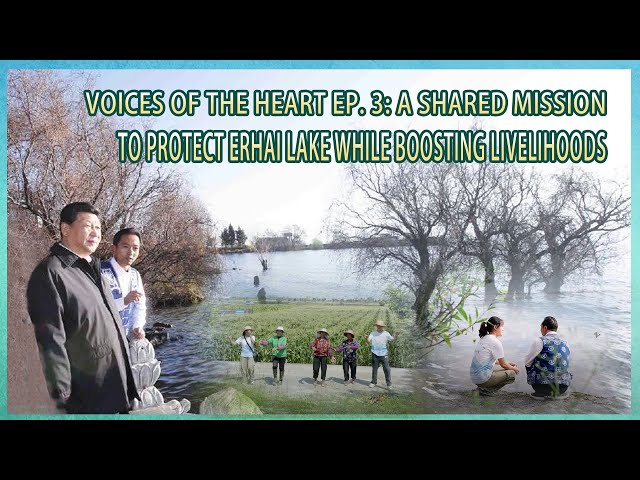 ⁣Voices of the heart Ep. 3: A shared mission to protect Erhai Lake while boosting livelihoods