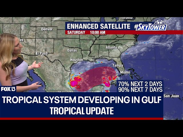 ⁣Tropical system developing in Gulf