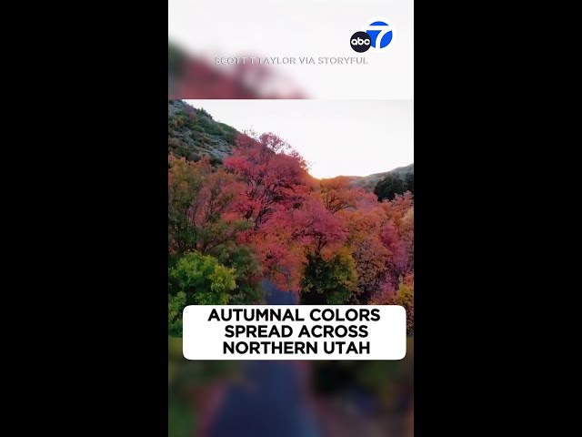 ⁣Check out this spectacular fall sight of vibrant colors in Utah!