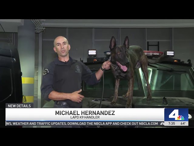 ⁣Man with ladder threatens K9 and handler in Reseda