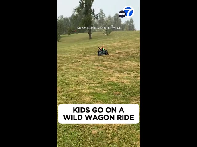 ⁣'Hey Dad, Watch This!' Kids go on a wild wagon ride