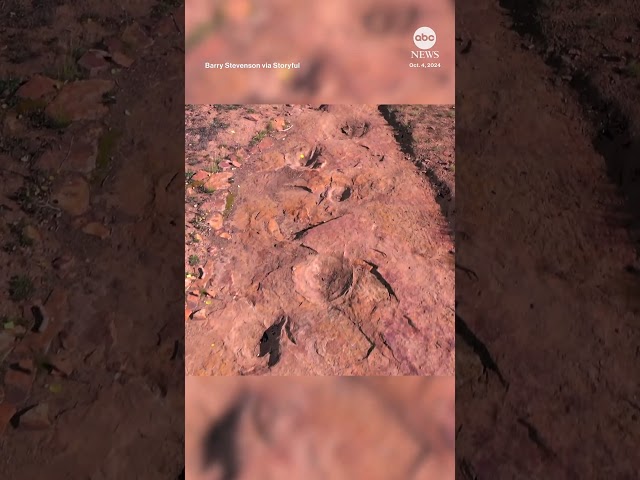 ⁣Drone captures world's largest continuous set of dino tracks