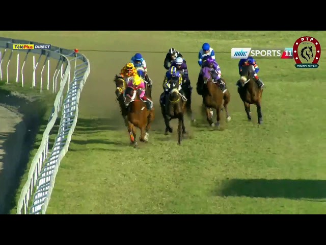 ⁣Hippisme - 24ème journée - La 7ème course en direct