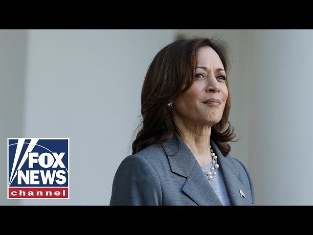 ⁣GOP rep calls out Harris for being a ‘big phony’ on this key issue