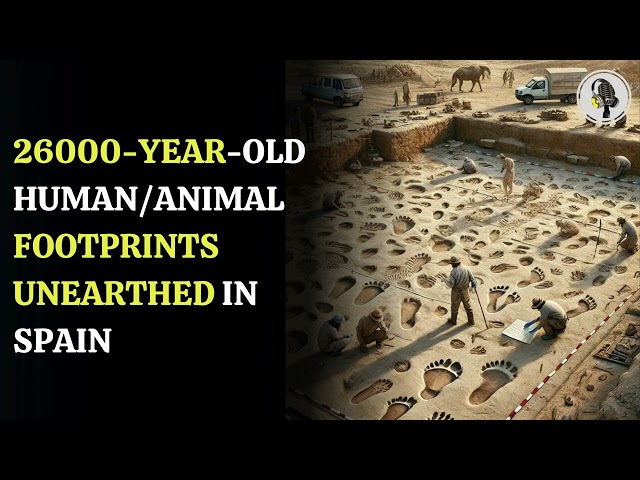 ⁣26000-year-old Human & Animal Footprints Unearthed in Spain | WION Podcast