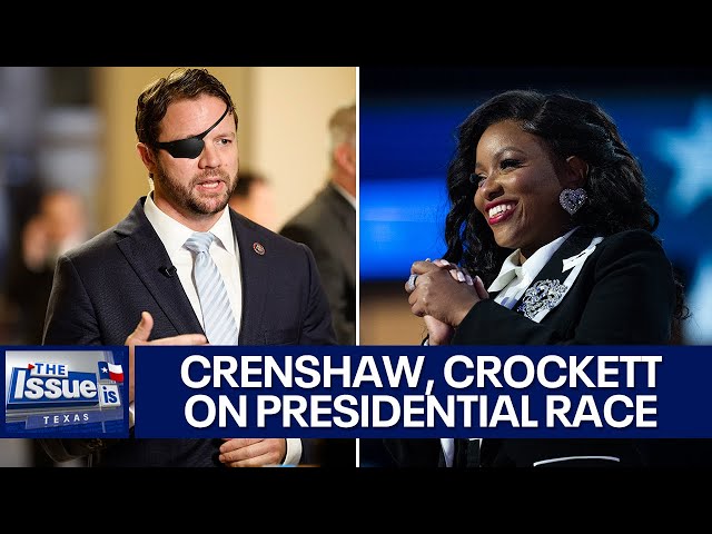 ⁣Jasmine Crockett, Dan Crenshaw on the importance of the presidential race