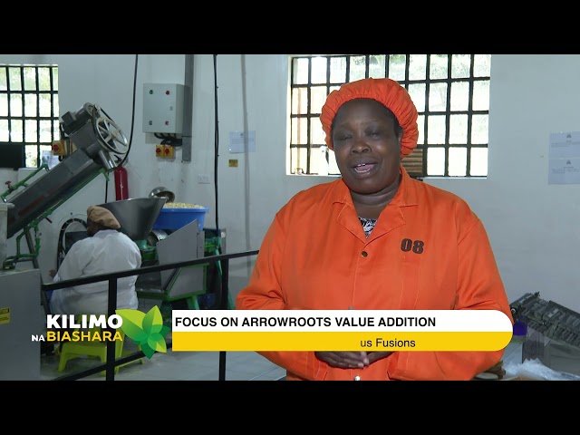 ⁣Focus On Arrowroots Value Addition | Kilimo na Biashara