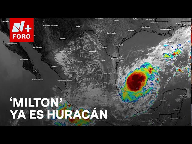 ⁣'Milton' se intensifica a huracán categoría 1; ubicación y trayectoria - Las Noticias