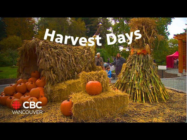 ⁣Harvest Days return at Vancouver’s VanDusen garden