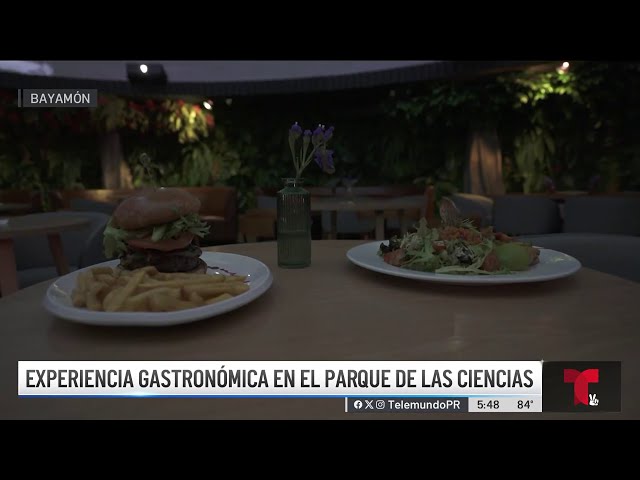 ⁣¡Es fascinante! Restaurante temático de El Yunque en Bayamón