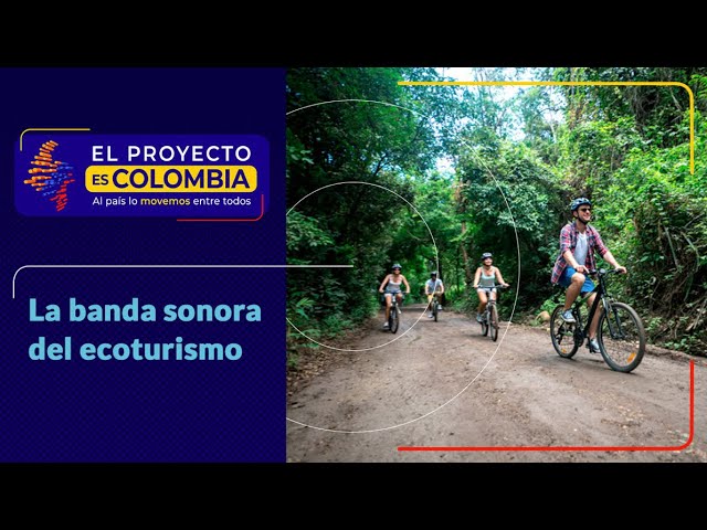 ⁣Colombia: paraíso de aves, biodiversidad y ecoturismo