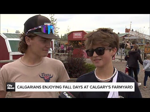 ⁣Calgarians enjoying Fall Days at Calgary’s Farmyard