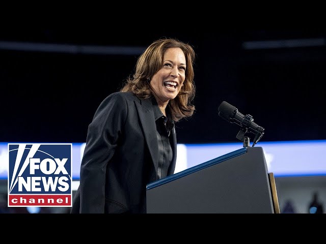 ⁣‘MEDIA BLITZ’: Kamala Harris attempts to shake up the 2024 race