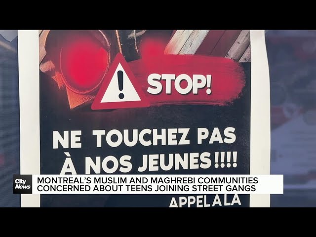 ⁣Montreal Maghrebi communities concerned about youth in street gangs