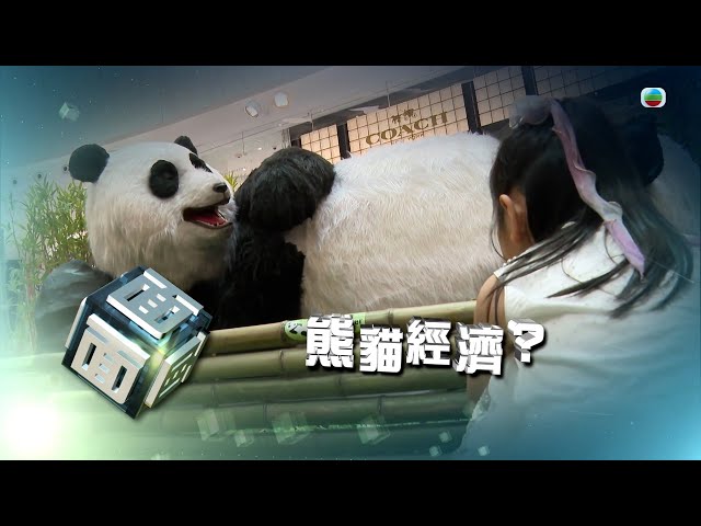 ⁣TVB時事多面睇｜熊貓經濟？｜2024年10月4日｜無綫新聞 ｜TVB News