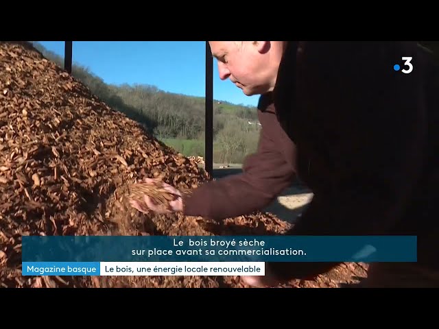 ⁣Bois de chauffage : la coopérative Sugarai couvre les besoins du Pays basque.