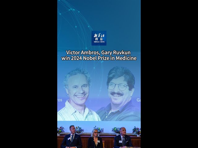 ⁣Xinhua News | Victor Ambros, Gary Ruvkun win 2024 Nobel Prize in Medicine