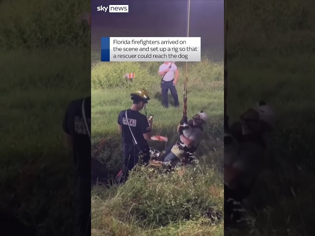 ⁣Florida firefighters rescue dog from cave