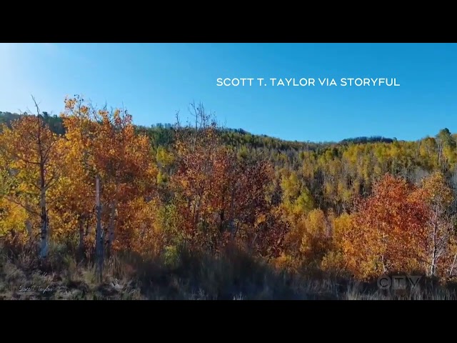 ⁣Drone video of stunning fall colours in northern Utah