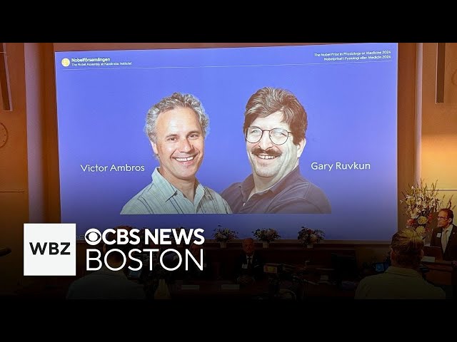 ⁣2 Massachusetts researchers awarded Nobel Prize in medicine