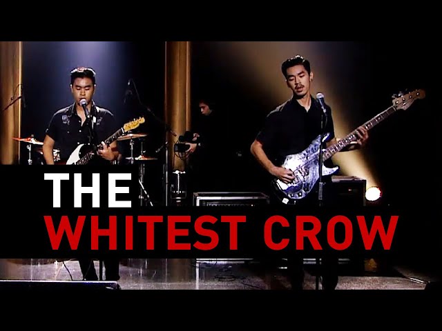 ⁣Be With You - The Whitest Crow : Big Boom Box