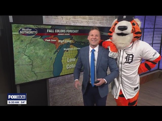 ⁣Paws does the weather: No rain, perfect 7 days ahead