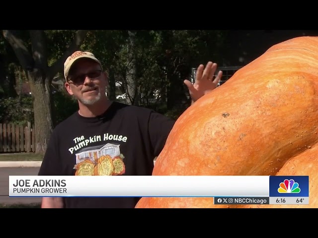 ⁣Suburban man wins state title for 2,000 pound pumpkin