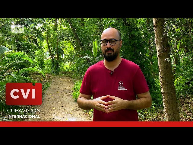 ⁣Jardín Botánico de La Habana "La quinta de los molinos" una suerte de refugio y vida al na