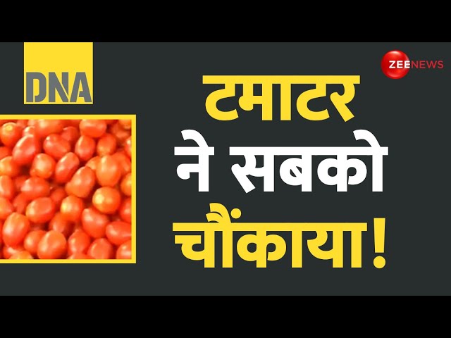 ⁣DNA: टमाटर ने सबको चौंकाया! Tomato Price Hike | Vegetable Rate Today | Apple | Latest Update | Hindi