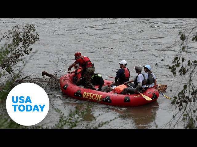 ⁣Cadaver dogs aid search in North Carolina in Helene's wake | USA TODAY