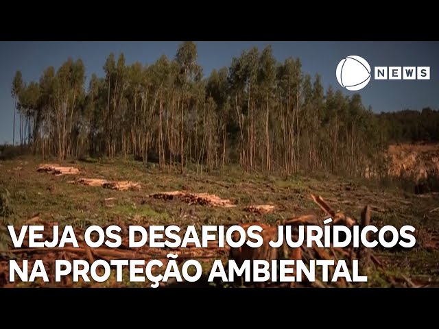 ⁣Conexão Verde: saiba os desafios jurídicos na proteção ambiental no Brasil