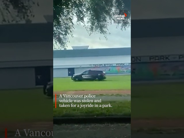 ⁣Man steals police car for joyride in Vancouver park