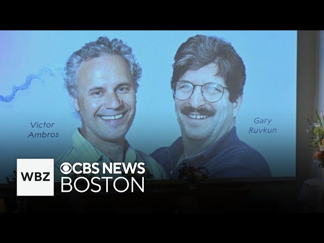 ⁣Two Massachusetts residents receive Nobel Prize in medicine for microRNA discovery