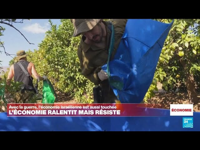 ⁣La guerre au Proche-Orient déstabilise les économies de la région • FRANCE 24