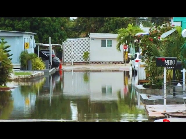 ⁣Zonas de Hialeah ya están inundadas y aún no llega el Huracán Milton