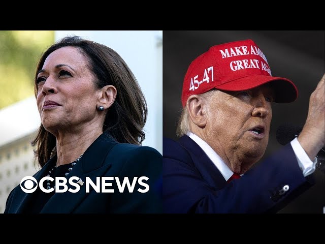 ⁣Why the national debt could rise under both Harris and Trump