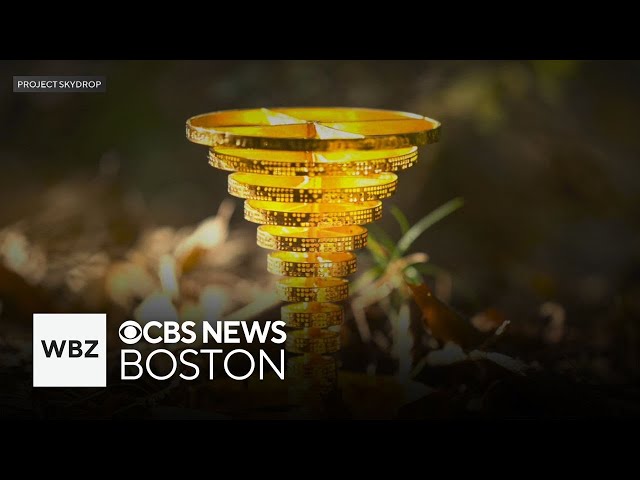 ⁣Treasure hunt winner explains how he found golden trophy in Massachusetts