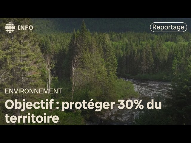 ⁣Plan nature 2030 : Québec veut 3 nouveaux parcs nationaux