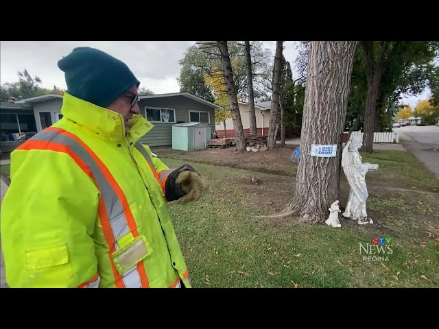 ⁣Regina man says city tree is the root of his basement flooding issues